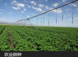 手持终端平板应用