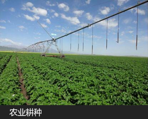 黑龙江农业耕种行业用户外高亮显